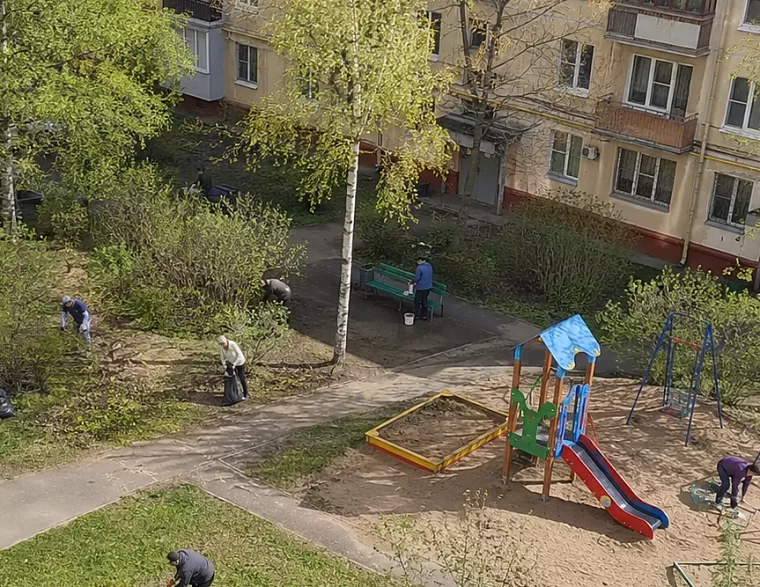 Опора Петербурга